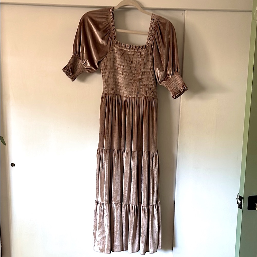 Baltic Born champagne vivaldi smocked velvet dress